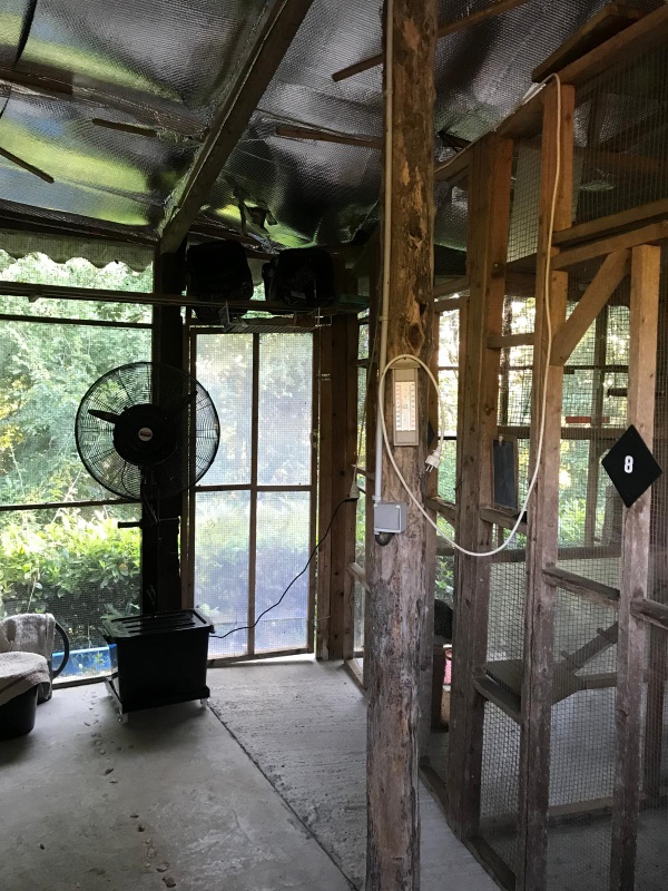 Photo of the accommodation