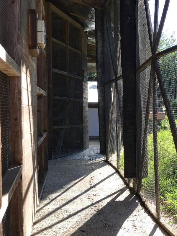 Photo of the accommodation