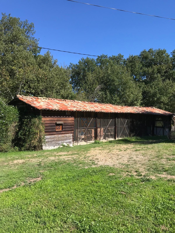 Photo of the accommodation