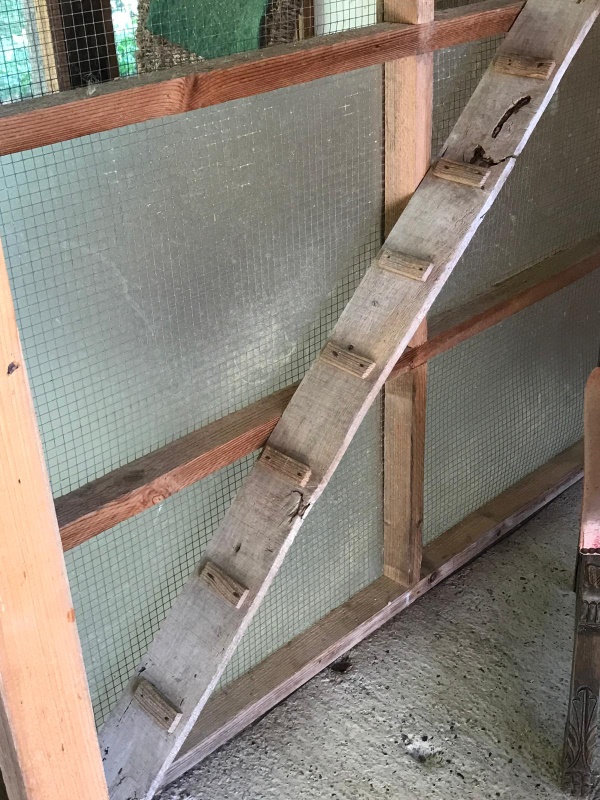 Photo of the accommodation